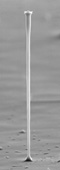 200 micron high pillar fabricated by electrochemical etching
